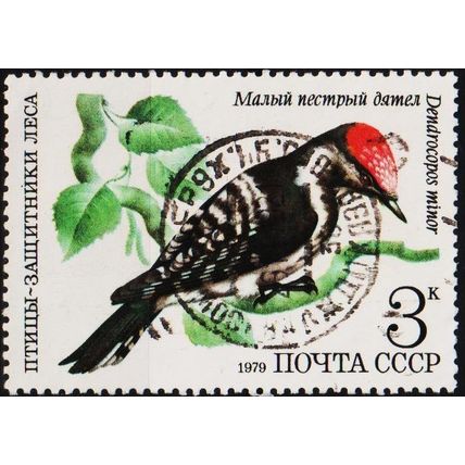 Russia. 1979 3k S.G.4923 Used