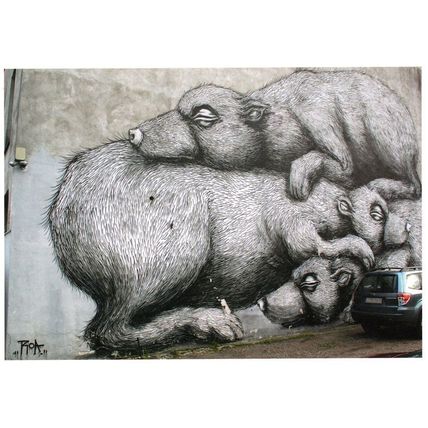 Russian Otters Stoats By Vandal Sprayed Car Street Graffiti Postcard