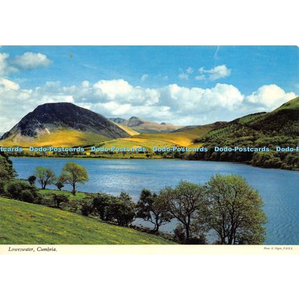 D017684 Loweswater. Cumbria. E. Nagele. Hinde