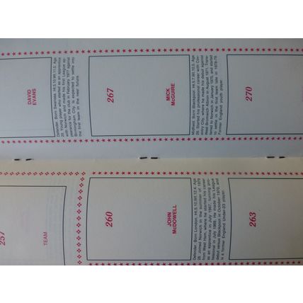 Panini Football 80 - Empty Sticker Album