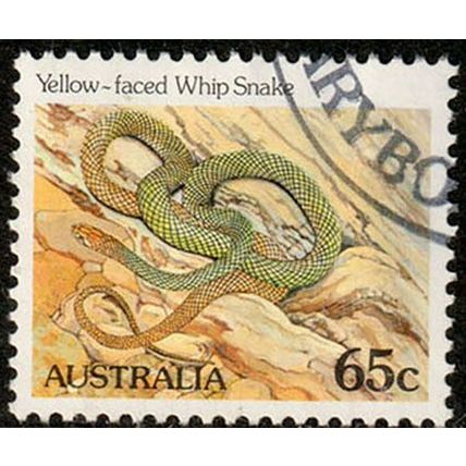 Australia 1982 Animals Reptiles Amphibians 65c Used Stamp Snake.