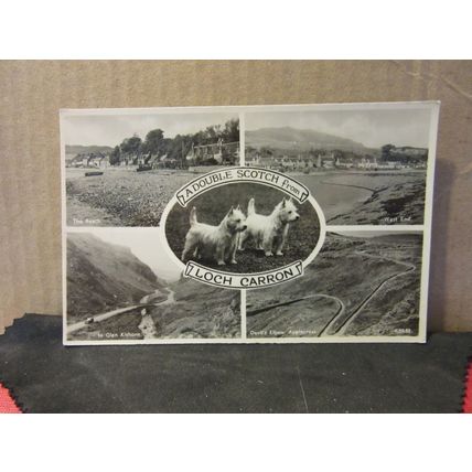 multiview, LOCH CARRON, ross-shire unused postcard double scotch terriers =