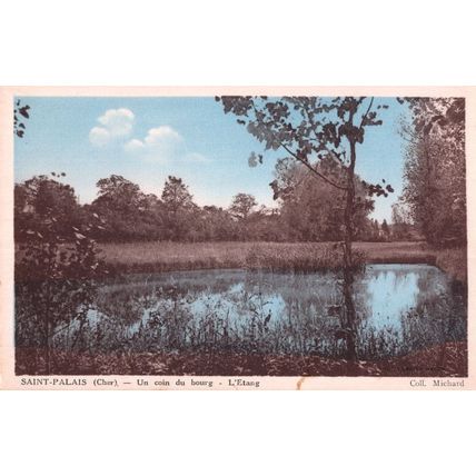 Saint Palais Un Coin Du Bourg L'Etang Cher French Lake Old Postcard