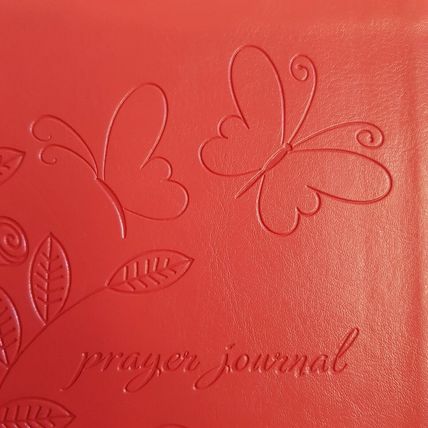 Thomas Nelson God's Answers for Graduates 2017 (brown) & Prayer Journal (pink)