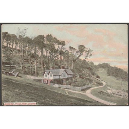 Beechwood Cottage, Mount Edgcumbe, Cornwall, c.1905-10 - Postcard