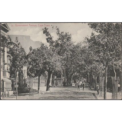 Government Avenue, Cape Town, c.1910 - Postcard