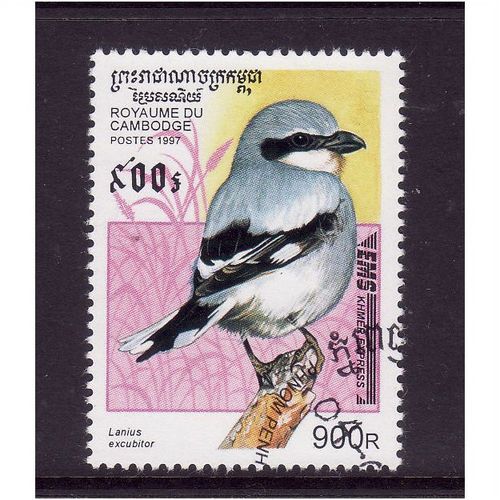 CAMBODIA 1997 SG E1625 900R GREAT GREY SHRIKE FINE USED#2