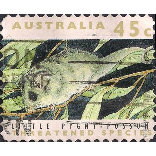 AUSTRALIA, MAMMALS, Little Pygmy-Possum, brown 1992, 45c