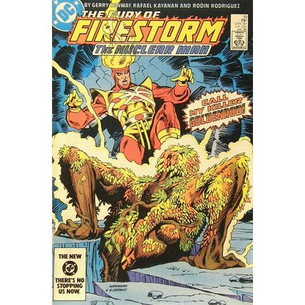 Firestorm (Vol 2) The Fury of # 019 FN MODERN AGE COMICS