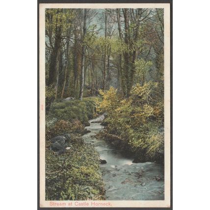 Stream at Castle Horneck, Penzance, Cornwall, c.1905 - Peacock Postcard