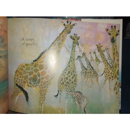Brian Wildsmith's Animal Gallery (Hardback, 2008, VGC, beautiful illustrations)