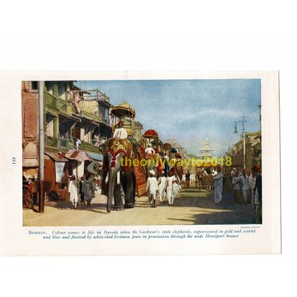 Baroda, Gaekwars State Elephants, India, Book Illustration (Print), c1920