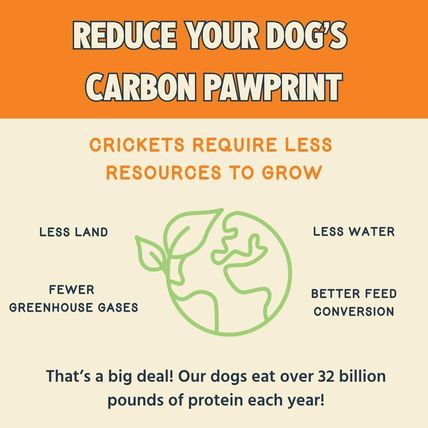 Jiminy’s Chewy Training Treats for Dogs – Pumpkin & Carrot Recipe – 6 oz