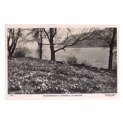 WORDSWORTH'S DAFFODILS, ULLSWATER , CUMBRIA unused vintage postcard. RP =