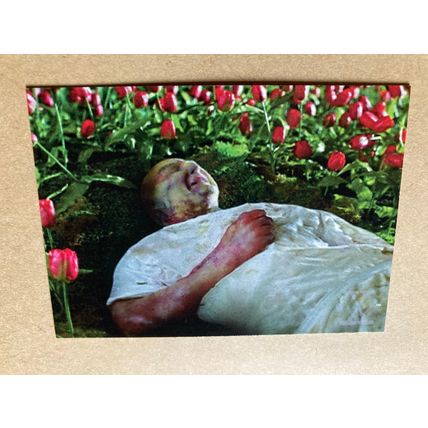 The X-Files Season 3 Base trading Card # 54 Bruckman's Decomposition (A) 1996