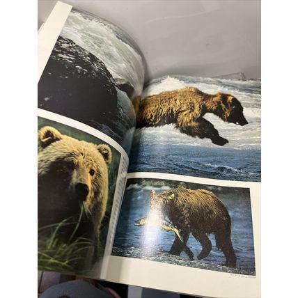 National Geographic Magazine September 1975 Red Sea Reefs - Vintage Collectable