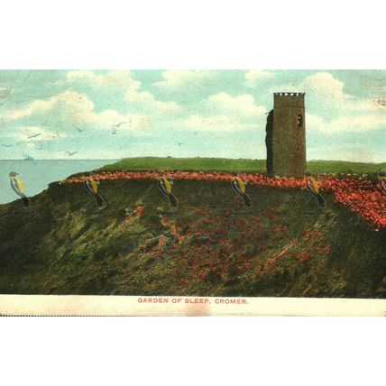 Garden Of Sleep Cromer, Norfolk, Rare Battson's Nature Colour Postcard, 1905