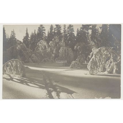 Norway Winter Snow in forest Ski Tracks early 20th C. unused RPPC Mittet No. 11