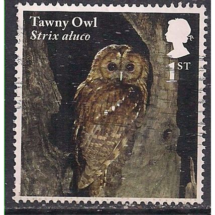 GB 2018 QE2 1st Owls ' Tawny Owl ' used SG 4084 ( M619 )