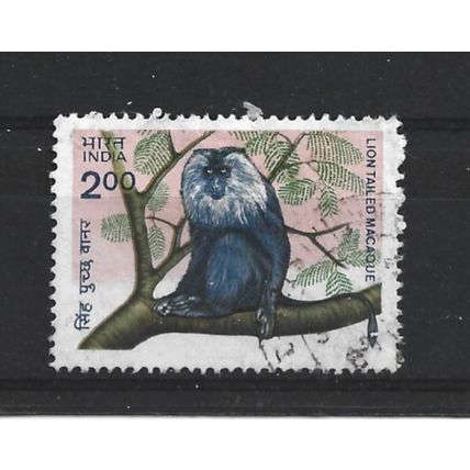 India.SG1100 2r Long-tailed Macaque.Fine Used.June23