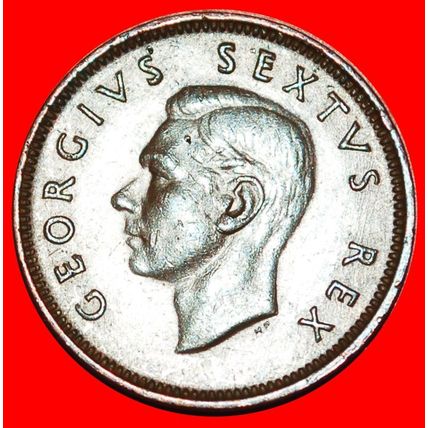 BIRDS (1951-1952): SOUTH AFRICA ★ 1/4 PENNY 1951! ★LOW START★NO RESERVE