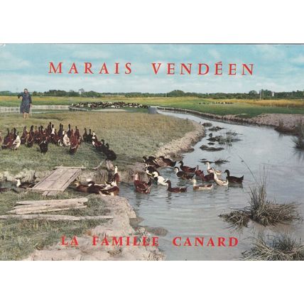 Marais Vendeen Famille Canard France Postcard used creased