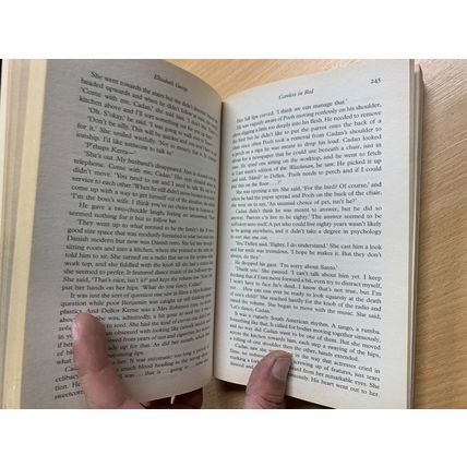 2009 ELIZABETH GEORGE "CARELESS IN RED" INSP. LYNLEY FICTION PAPERBACK BOOK (P3)