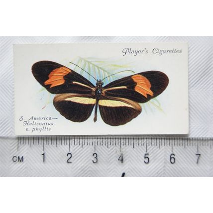 1932 John Player & Sons Butterflies No. 38 South America, Heliconius erato phyll