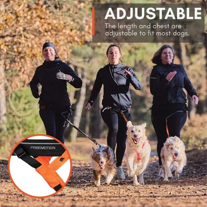 Non-Stop Dogwear Freemotion Harness 5.0 Dog Pulling Harness for Sports like Runn