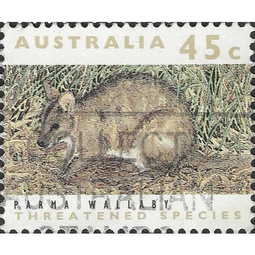 AUSTRALIA, MAMMAL, Parma Wallaby, brown 1992, 45c, #4