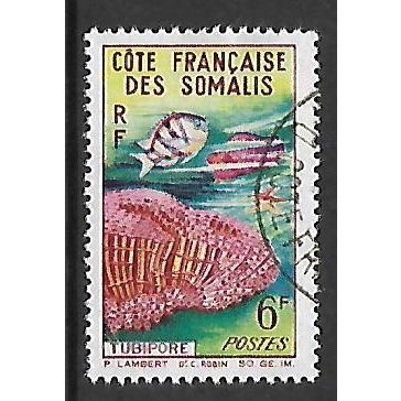 FRENCH SOMALI COAST 1963 CORALS 6F ORGAN PIPE SG470 FINE USED