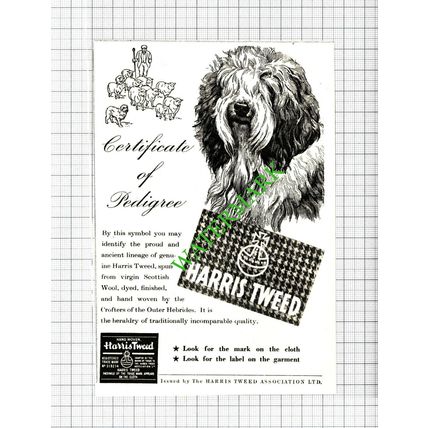 Harris Tweed Dog Advert - 1950 Cutting