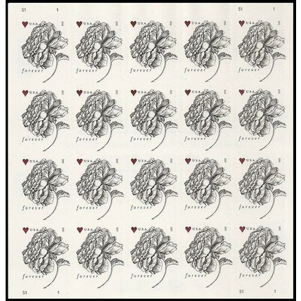 GENUINE Vintage Rose Pane of 20 Mint Current Rate Wedding Stamps Scott 4959