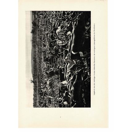 Bard of the North, Kantele Player, Finland, Book Illustration (Print) 1935