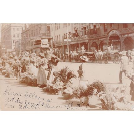 Johannesburg Flower Sellers at Tailors Real Photo South African Postcard