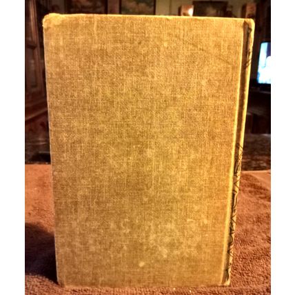 The Bobbsey Twins In A Great City 1945 By Laura Lee Hope Great Shape