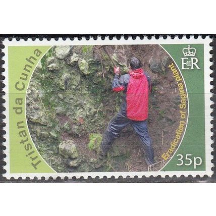 Tristan da Cunha 2010 Sagina Neuf **