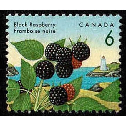 Canada 1992 Edible Fruit 6c Used Stamp
