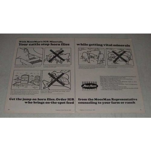 1984 MoorMan's IGR Minerals Ad - Stop Horn Flies