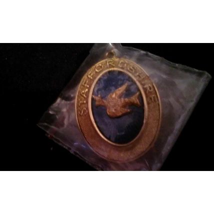 Masonic Collar Jewel - Deputy DC - STAFFORDSHIRE