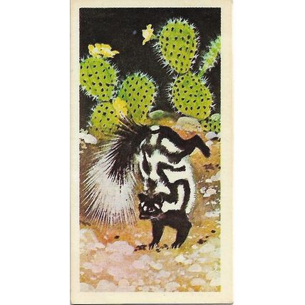 Wonders of Wildlife 1976 Brooke Bond Tea Card 32 - Chemical Warfare