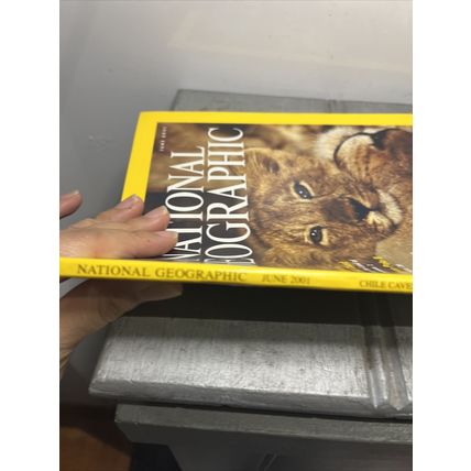 National Geographic Magazine June 2001 Asia's Last Lions - Vintage Collectable