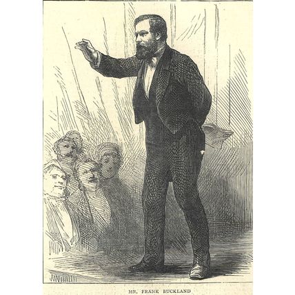 PRESENT ASPECT OF THE INTERIOR OF ST. PAUL’S 1872 Henry Woods ANTIQUE ENGRAVINGS