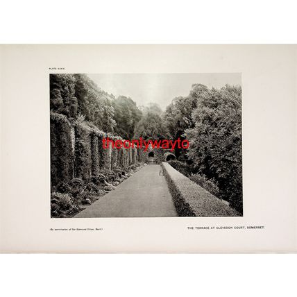 SUMMER HOUSE, CLEVEDON COURT, SOMERSET (TERRACE On Reverse), Book Illustration