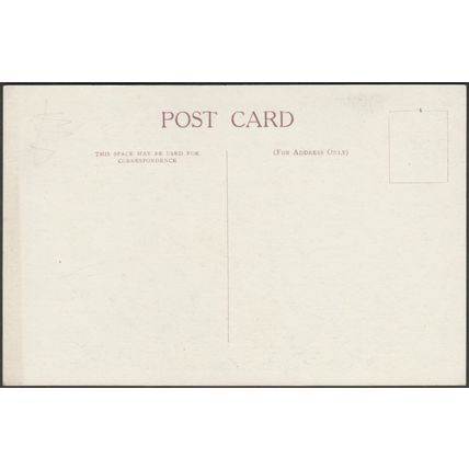 Single Variety Chrysanthemums, c.1940s - Royal Botanic Gardens Postcard
