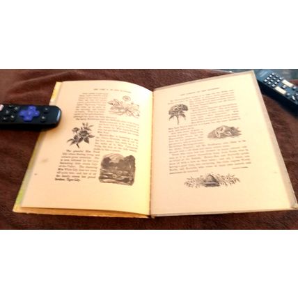 Old Vintage Animal Book # 0501 Animal Stories Series Charles E Graham & Co