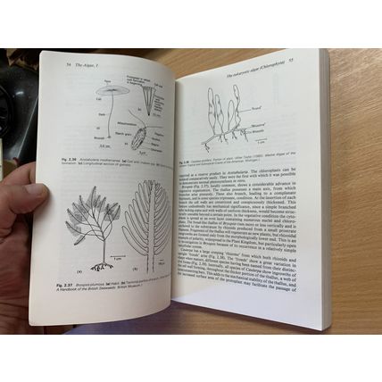 1989 "THE DIVERSITY OF GREEN PLANTS" PETER BELL BIOLOGY ILLUSTRATED PB BOOK (P4)