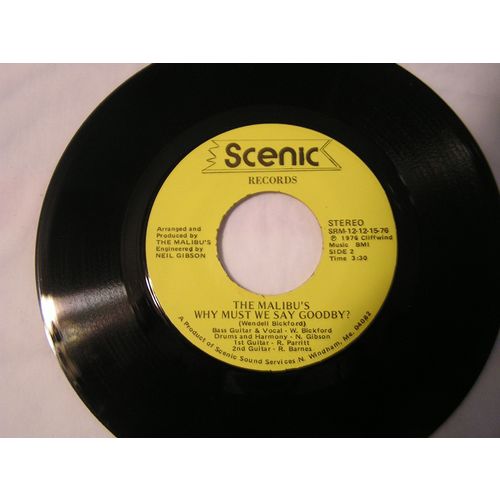 The Malibu's 45-ROLLIN' RUBBER BALL/WHY MUST WE SAY GOODBYE STEREO