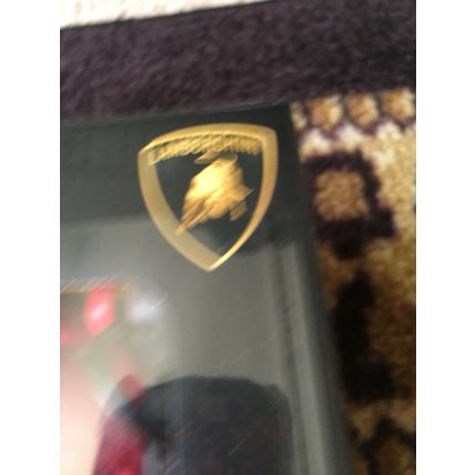 Veneno Burgundy Remote Control Lamborghini RC Sport Racing Car Toy