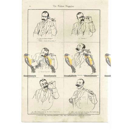 His Mother-in-Law's News, Victorian Humour, Book Illustration (Print), 1895